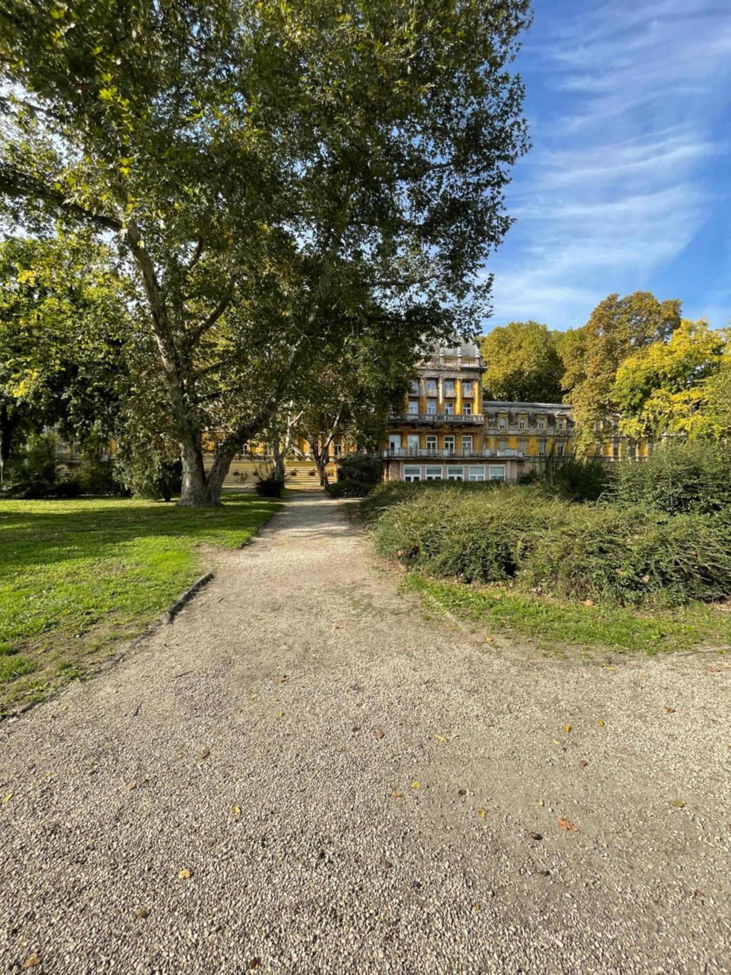 Margaret Apartment Next To The Lukacs Spa With Panorama Danube Будапеща Екстериор снимка